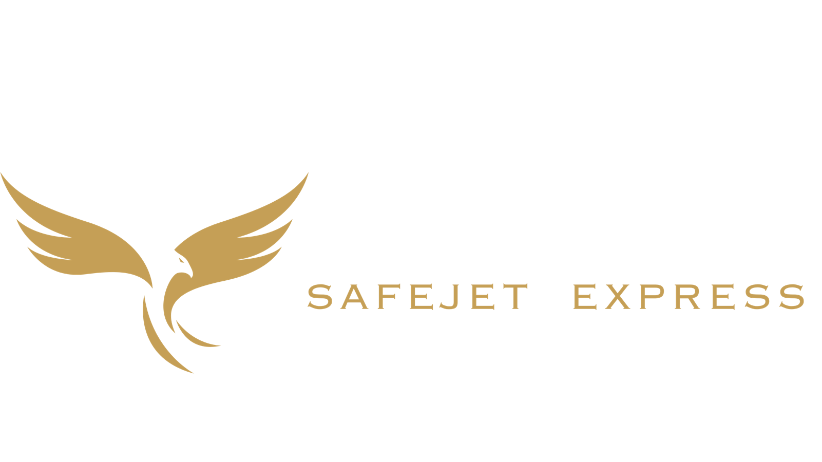 SafeJet Express logo